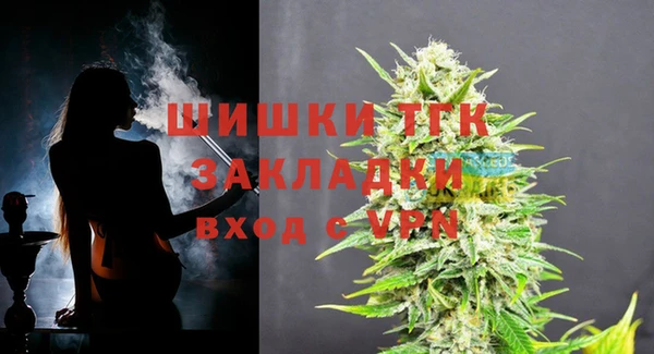 винт Долгопрудный