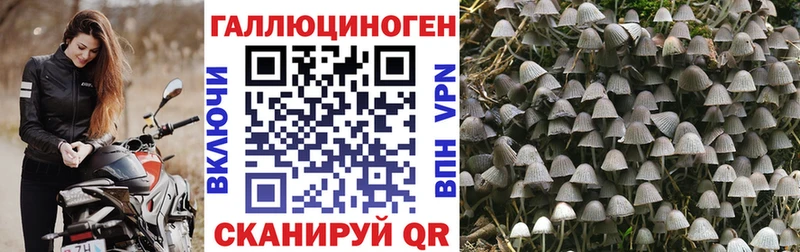Галлюциногенные грибы мухоморы где можно купить Зверево